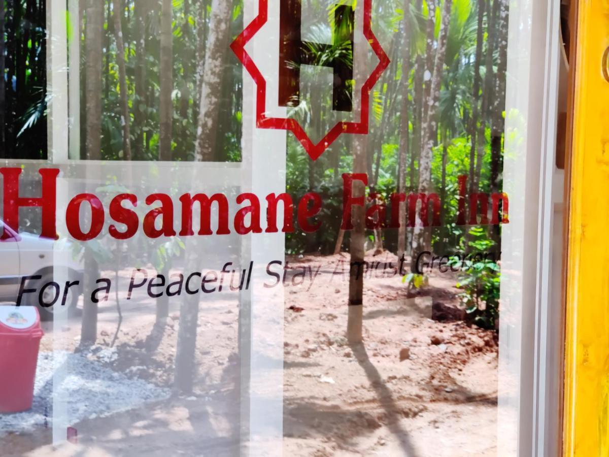Hosamane Farm Inn Sringeri Εξωτερικό φωτογραφία
